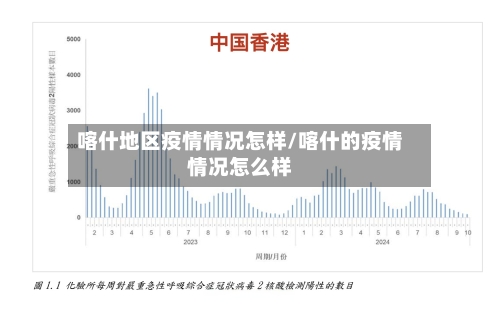 喀什地区疫情情况怎样/喀什的疫情情况怎么样