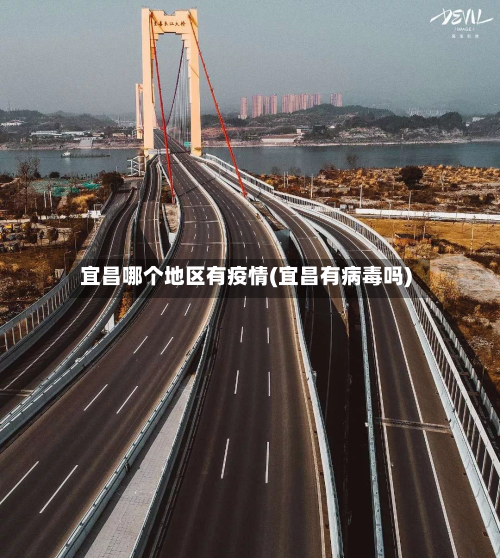 宜昌哪个地区有疫情(宜昌有病毒吗)