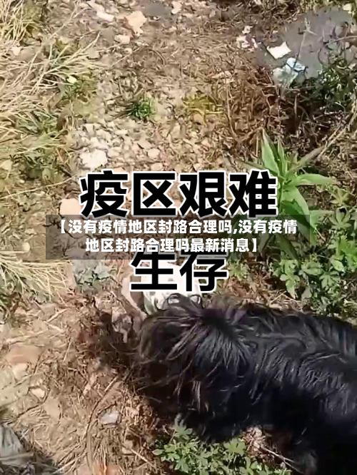 【没有疫情地区封路合理吗,没有疫情地区封路合理吗最新消息】-第2张图片