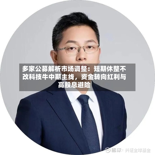 多家公募解析市场调整：短期休整不改科技牛中期主线，资金转向红利与高股息避险-第2张图片