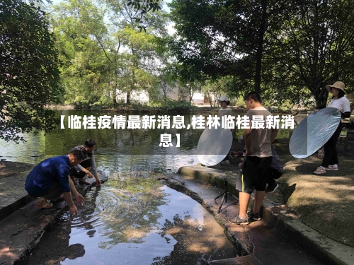 【临桂疫情最新消息,桂林临桂最新消息】-第2张图片