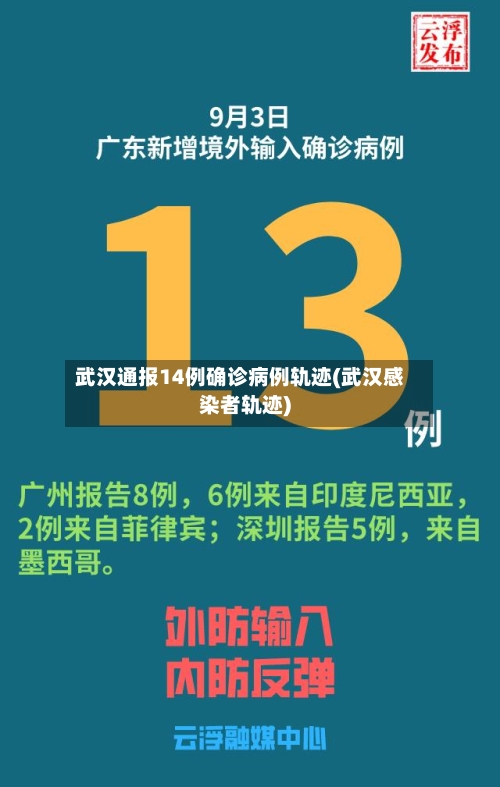 武汉通报14例确诊病例轨迹(武汉感染者轨迹)-第3张图片