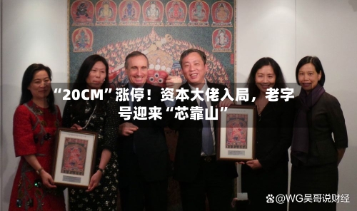 “20CM”涨停！资本大佬入局，老字号迎来“芯靠山”-第3张图片