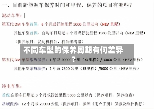 不同车型的保养周期有何差异？