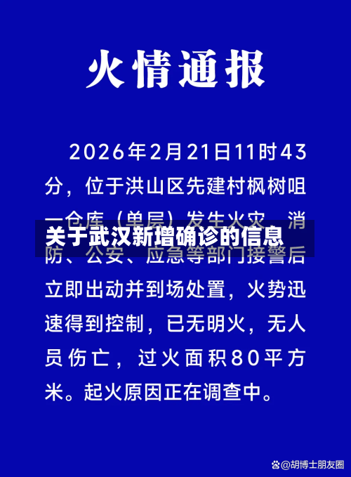 关于武汉新增确诊的信息
