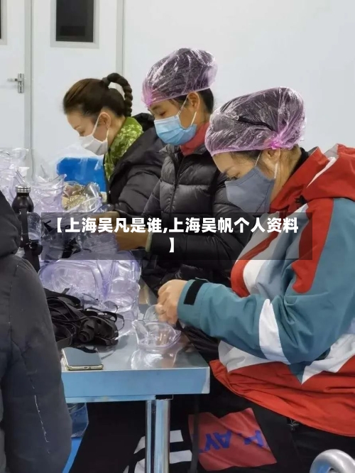 【上海吴凡是谁,上海吴帆个人资料】