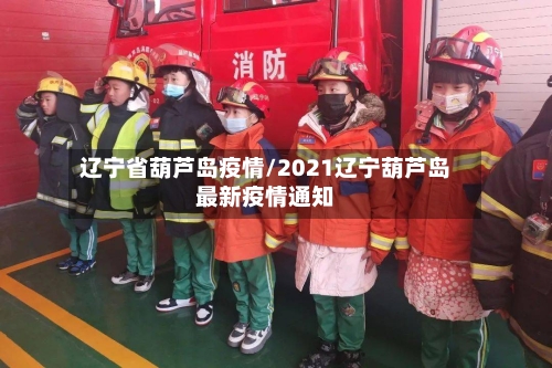辽宁省葫芦岛疫情/2021辽宁葫芦岛最新疫情通知