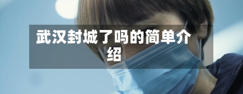武汉封城了吗的简单介绍