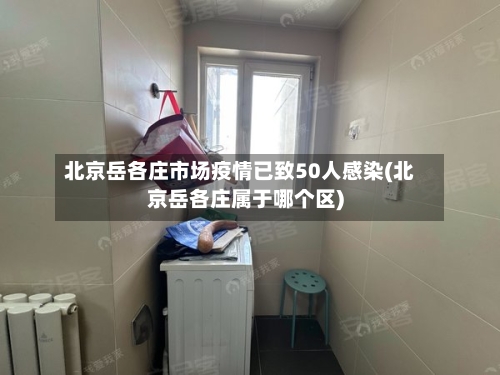 北京岳各庄市场疫情已致50人感染(北京岳各庄属于哪个区)