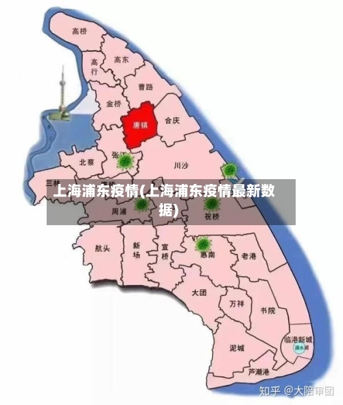 上海浦东疫情(上海浦东疫情最新数据)
