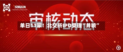 单日11家！北交所IPO受理“井喷	”-第2张图片
