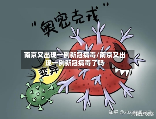 南京又出现一例新冠病毒/南京又出现一例新冠病毒了吗-第2张图片
