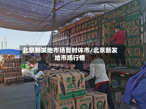 北京新发地市场暂时休市/北京新发地市场行情-第3张图片