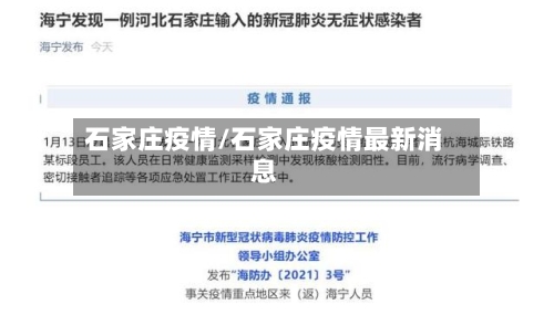 石家庄疫情/石家庄疫情最新消息-第2张图片