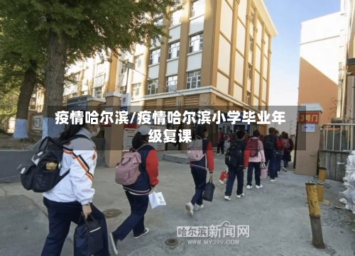 疫情哈尔滨/疫情哈尔滨小学毕业年级复课