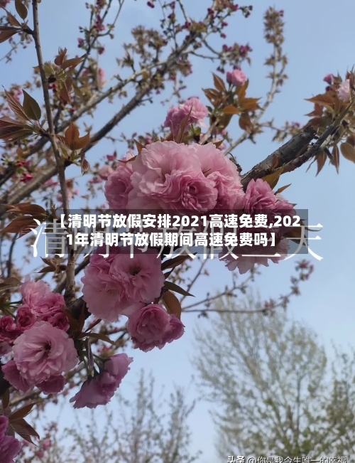 【清明节放假安排2021高速免费,2021年清明节放假期间高速免费吗】