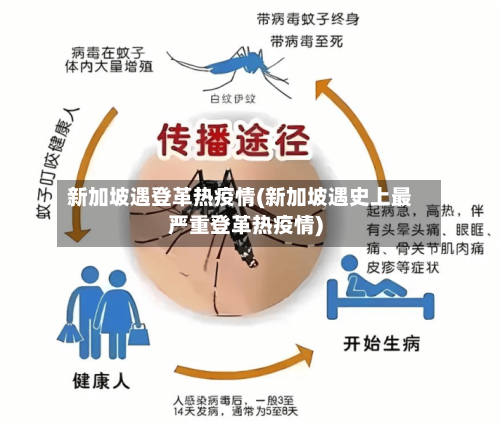 新加坡遇登革热疫情(新加坡遇史上最严重登革热疫情)-第3张图片