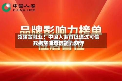 领跑金融业！中国人寿首批通过可信数据空间可信能力测评