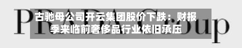 古驰母公司开云集团股价下跌：财报季来临前奢侈品行业依旧承压-第2张图片