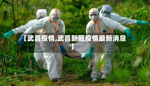 【武昌疫情,武昌新冠疫情最新消息】-第2张图片