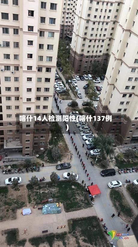 喀什14人检测阳性(喀什137例)
