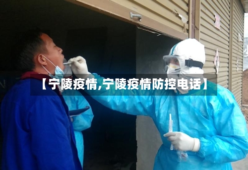 【宁陵疫情,宁陵疫情防控电话】