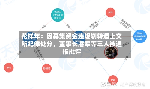 花样年：因募集资金违规划转遭上交所纪律处分	，董事长潘军等三人被通报批评-第3张图片