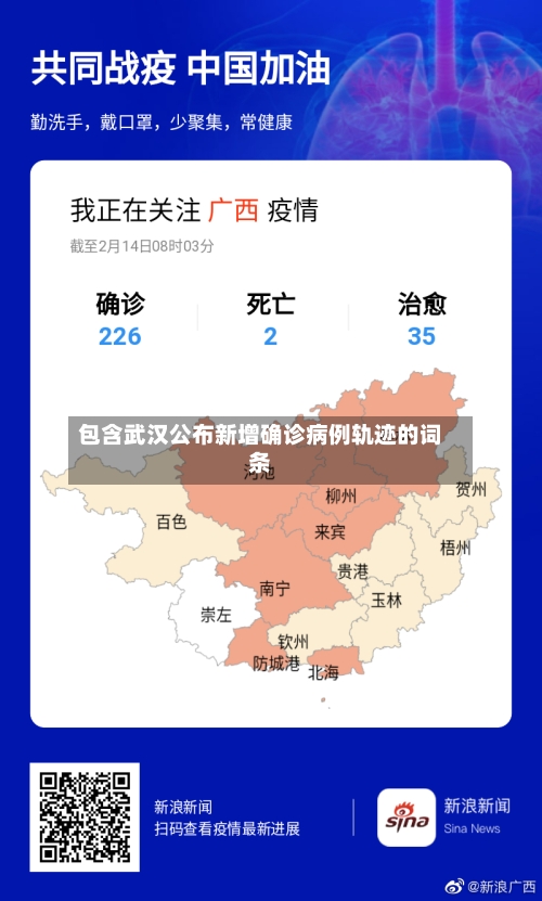 包含武汉公布新增确诊病例轨迹的词条-第2张图片