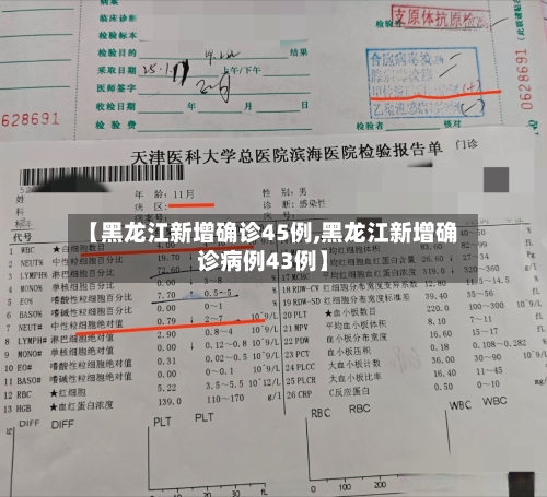 【黑龙江新增确诊45例,黑龙江新增确诊病例43例】-第3张图片