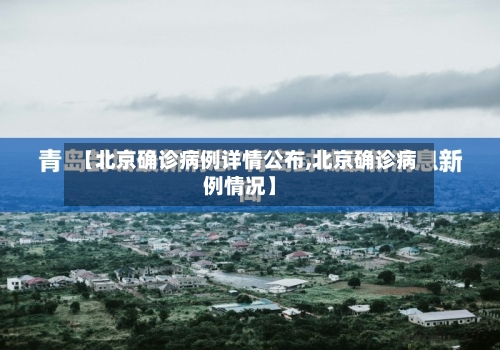 【北京确诊病例详情公布,北京确诊病例情况】-第2张图片