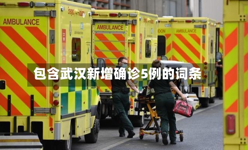 包含武汉新增确诊5例的词条