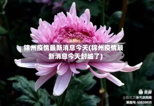 锦州疫情最新消息今天(锦州疫情最新消息今天封城了)-第2张图片