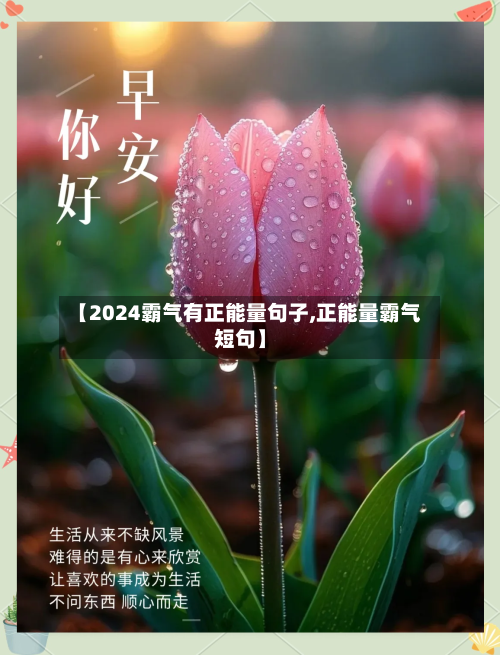 【2024霸气有正能量句子,正能量霸气短句】