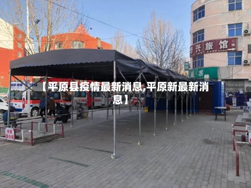【平原县疫情最新消息,平原新最新消息】-第3张图片
