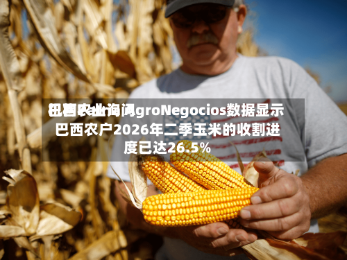 巴西农业询问机构Patria AgroNegocios数据显示 巴西农户2026年二季玉米的收割进度已达26.5%
