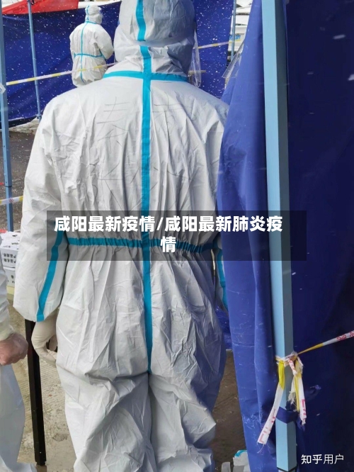 咸阳最新疫情/咸阳最新肺炎疫情-第2张图片