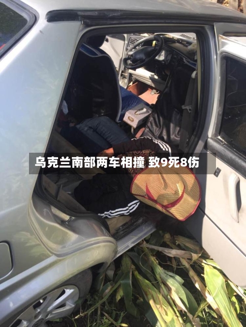 乌克兰南部两车相撞 致9死8伤