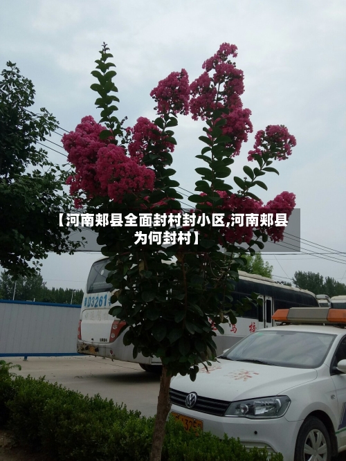 【河南郏县全面封村封小区,河南郏县为何封村】