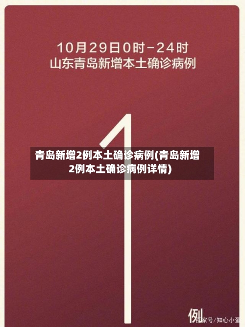 青岛新增2例本土确诊病例(青岛新增2例本土确诊病例详情)-第2张图片