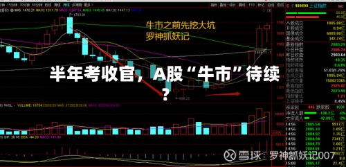 半年考收官，A股“牛市	”待续？-第1张图片