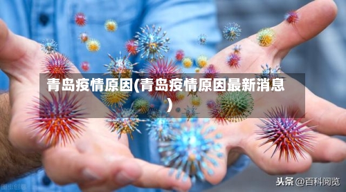 青岛疫情原因(青岛疫情原因最新消息)-第3张图片