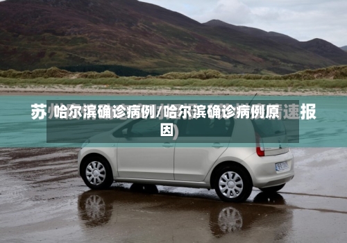 哈尔滨确诊病例/哈尔滨确诊病例原因