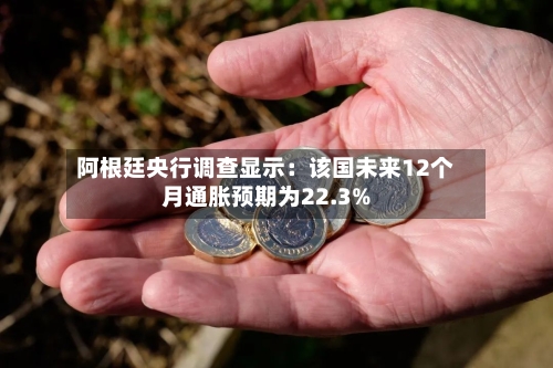 阿根廷央行调查显示：该国未来12个月通胀预期为22.3%-第2张图片