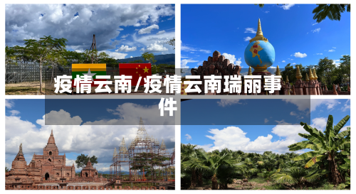 疫情云南/疫情云南瑞丽事件