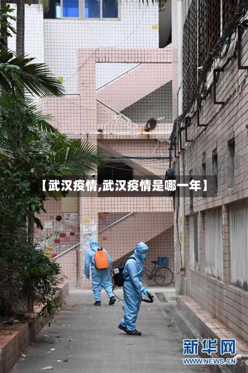 【武汉疫情,武汉疫情是哪一年】