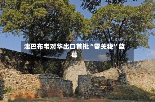 津巴布韦对华出口首批“零关税”蓝莓