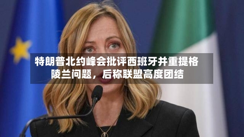 特朗普北约峰会批评西班牙并重提格陵兰问题，后称联盟高度团结-第2张图片