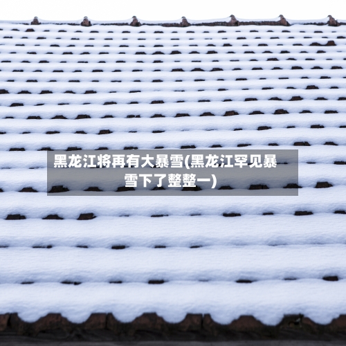 黑龙江将再有大暴雪(黑龙江罕见暴雪下了整整一)-第2张图片