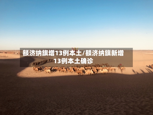 额济纳旗增13例本土/额济纳旗新增13例本土确诊