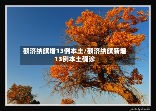 额济纳旗增13例本土/额济纳旗新增13例本土确诊-第3张图片